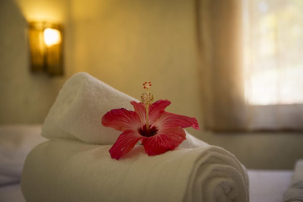 Pousada Vale Verde Bungalows - Praia Do Rosa - Sc Εξωτερικό φωτογραφία